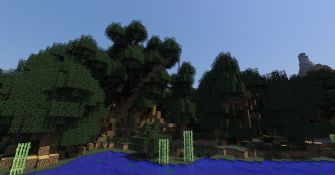 Server 1
